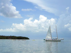 This is the sailboat, capable of sailing the shallows, that will take you and the kayaks on a wonderful and relaxing backcountry adventure.