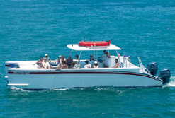 Sit back and enjoy this 36'-foot vessel while you view dolphin in the wild.