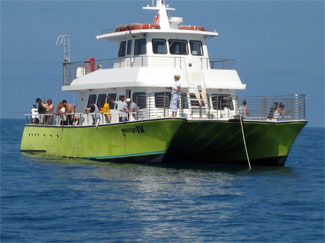 Reservation: Party Boat Fishing Trip -Key West Travel Guide