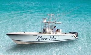 Center console light-tackle fishing charter