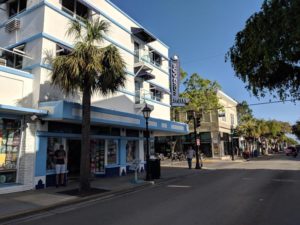 Blue skies and palm trees in every direction