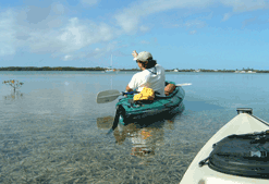 Kayak guide explaining the eco-system of Key West