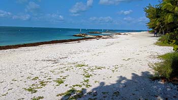 Beach at Fort Zachary Taylor State Park