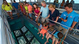 Below deck of the Key West Glassbottom Boat, with viewing windows to see the marine life