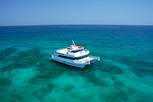 Glassbottom boat over coral reef off of Key West, Florida