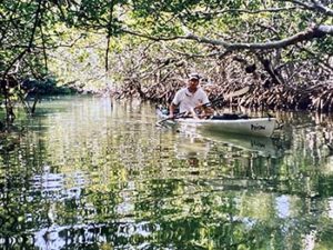 Man kayaking through the mangroves