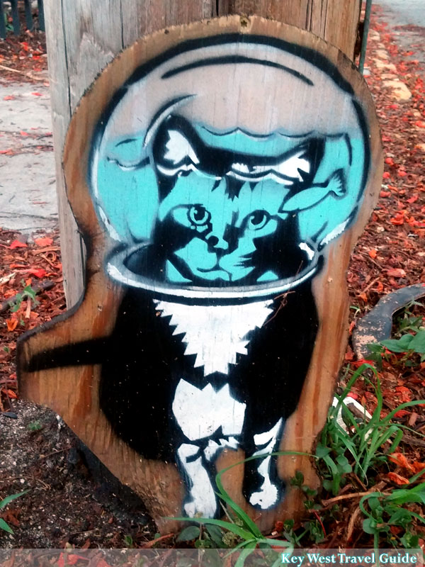 Street art in Key West of a cat with fishbowl over head