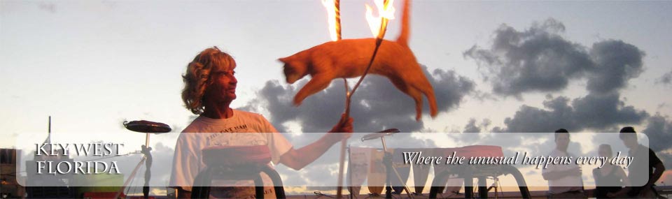 Cat jumping through flaming hoop during the nightly Sunset Celebration at Mallory Square