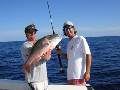 Large mutton snapper caught on a fishing charter in Key West