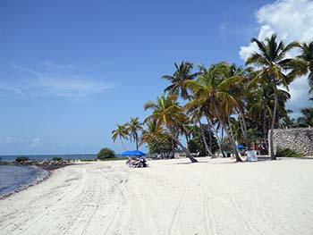 Soft sand beach and palm trees at Smathers Beach in Key West