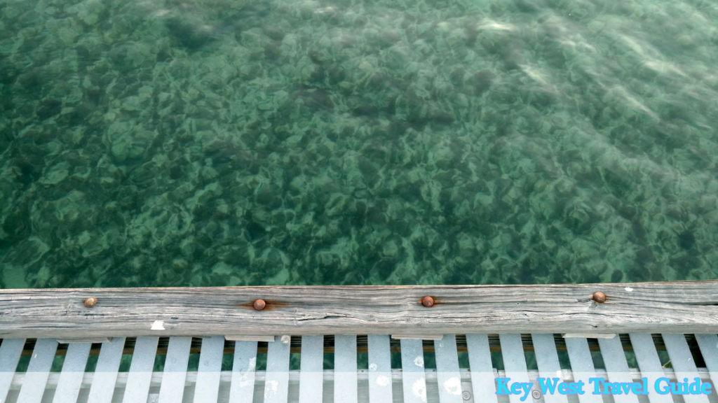 Photos showing view from dock into clear water of Key West ocean