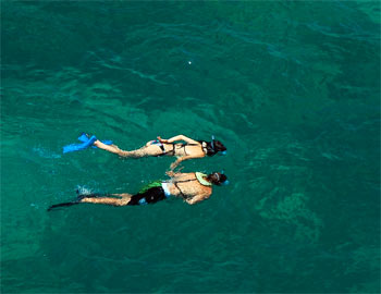 Two snorkelers floating on the surface above the coral reefs of Key West