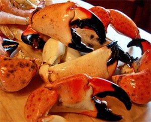 Stone crab claws, a favorite seafood at Key West restaurants