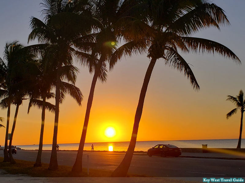 Sunrise at the beach, with palm trees in Key West