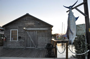 Turtle museum at the docks of the historic seaport in Key West