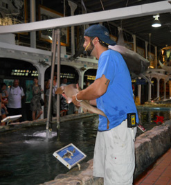 Key West Aquarium guide showing a live nurse shark to visitors.