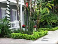 Ambrosia Key West